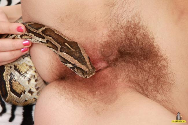 Protein reccomend snake porn