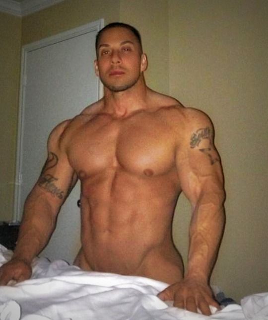 best of Muscle male