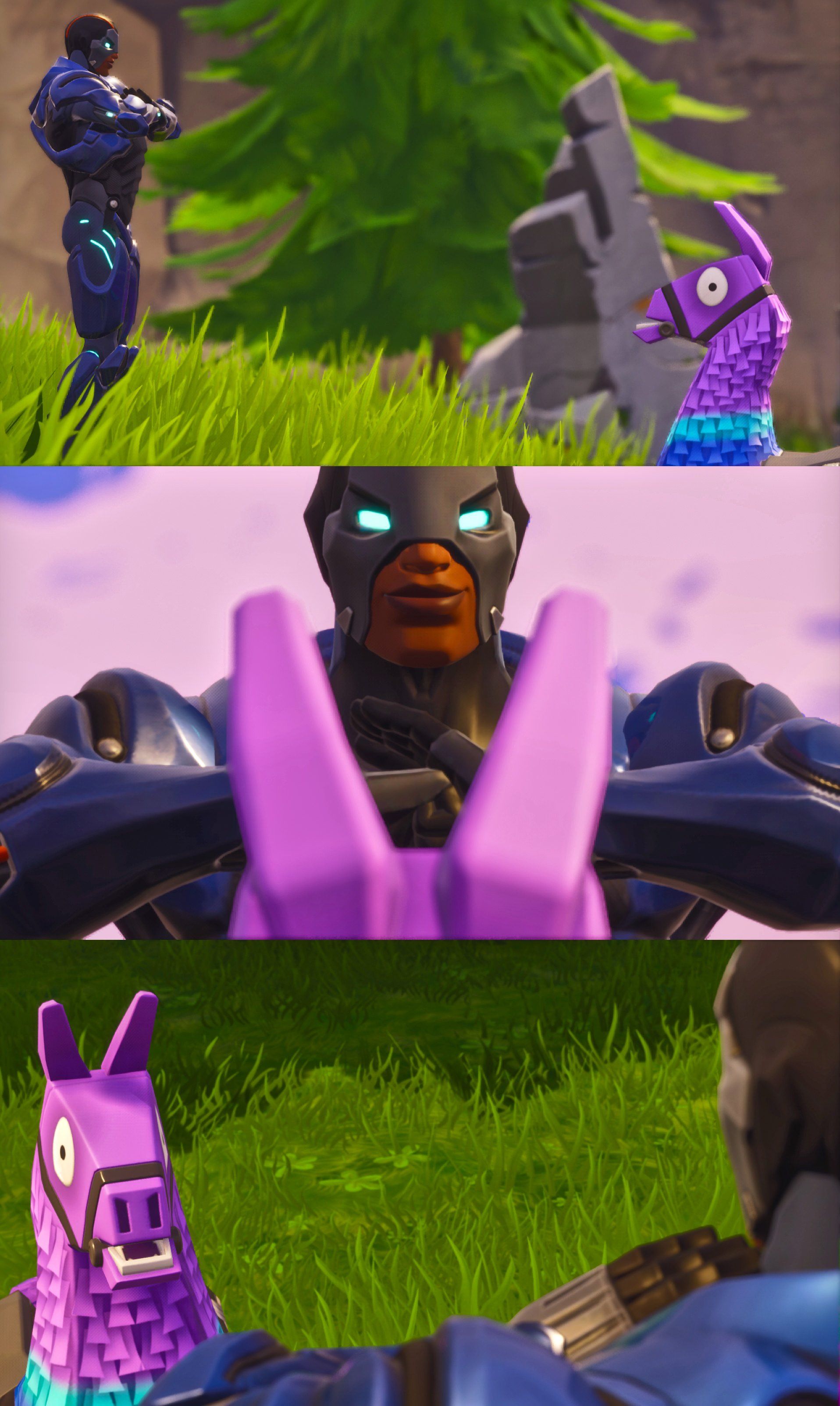 Fortnite llama